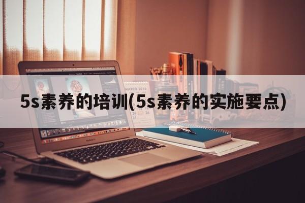 5s素养的培训(5s素养的实施要点)